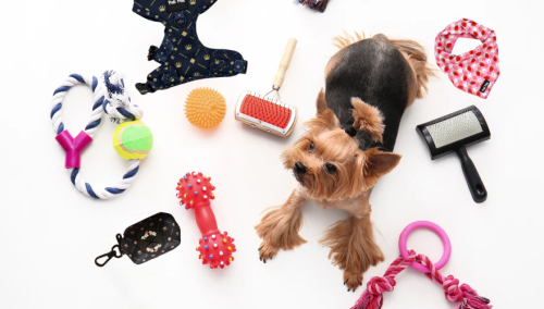 dog-accessories